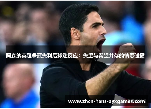 阿森纳英超争冠失利后球迷反应：失望与希望并存的情感碰撞