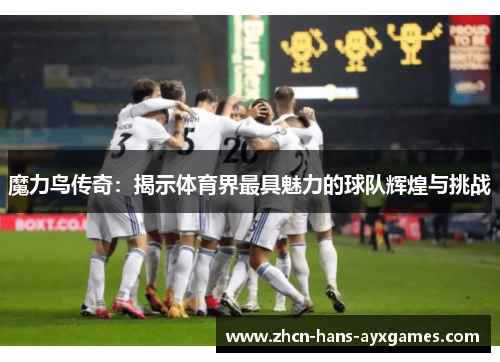 魔力鸟传奇：揭示体育界最具魅力的球队辉煌与挑战