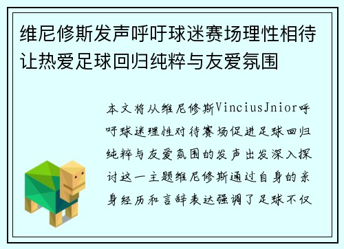 维尼修斯发声呼吁球迷赛场理性相待让热爱足球回归纯粹与友爱氛围
